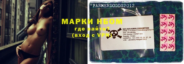 стафф Магас