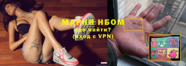 стафф Магадан