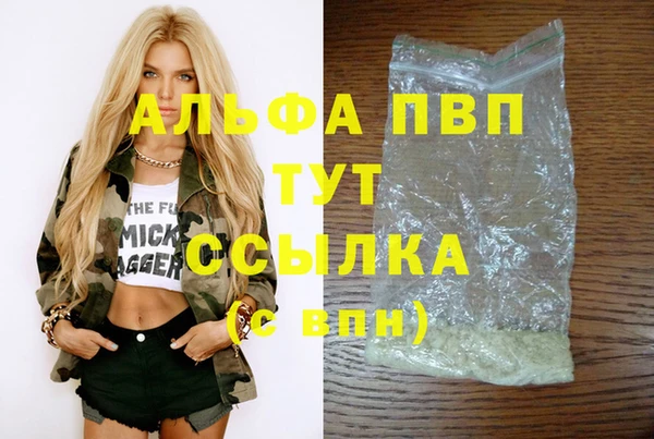 стафф Магадан