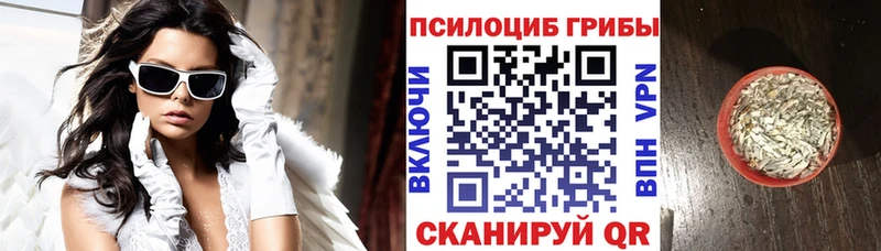 наркота  Елизаветинская  kraken как войти  Галлюциногенные грибы Magic Shrooms 